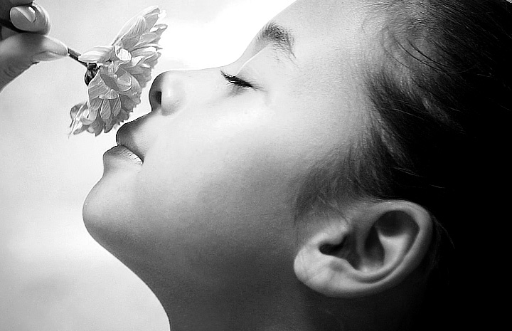 免费轰炸软件版